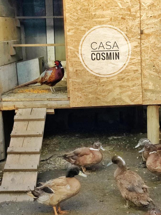 Casa Cosmin Cincu Hotel Luaran gambar